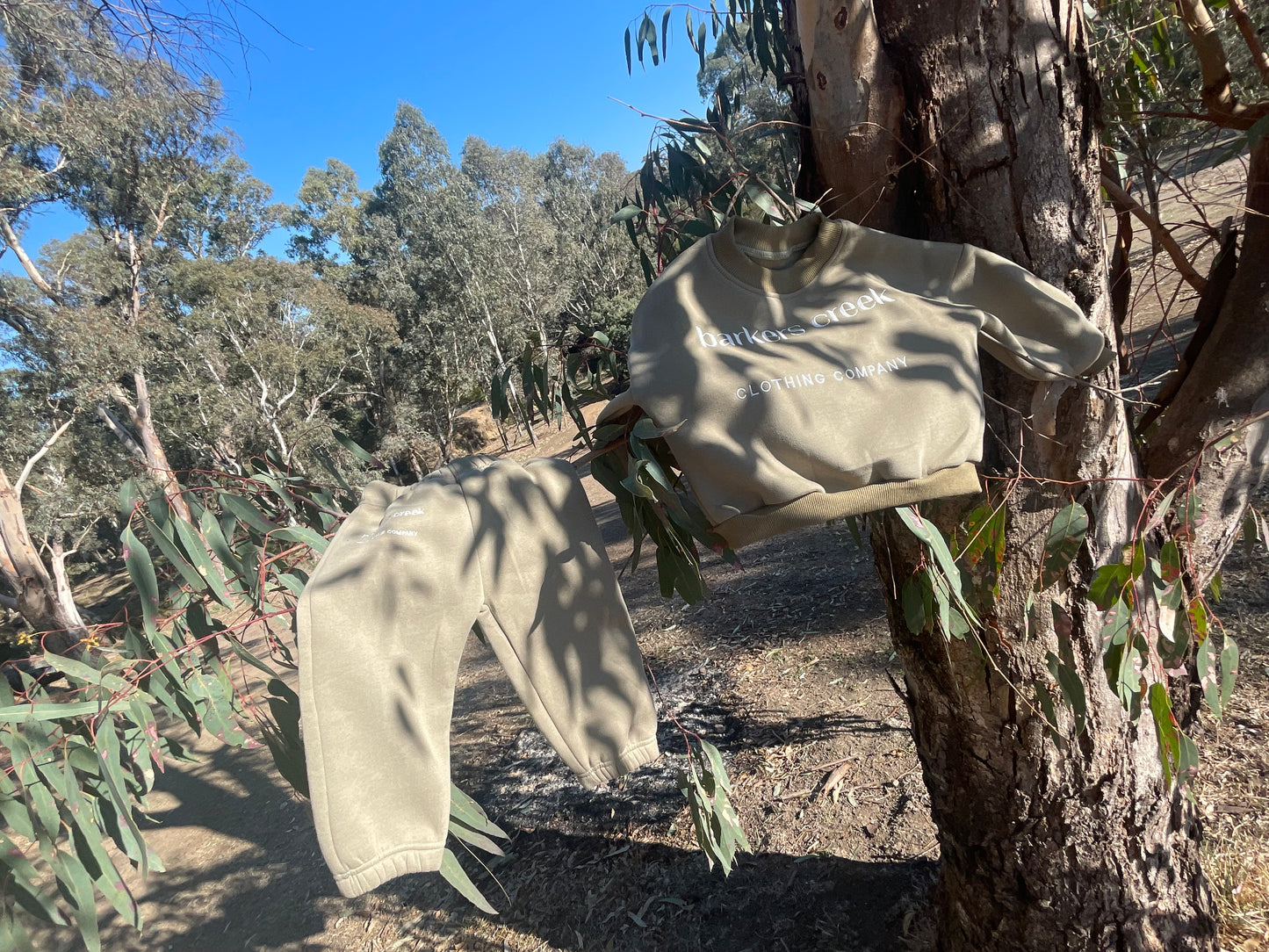Eucalyptus leaves tracksuit set